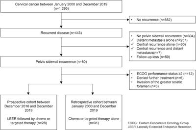 Laterally Extended Endopelvic Resection Versus Chemo or Targeted Therapy Alone for Pelvic Sidewall Recurrence of Cervical Cancer